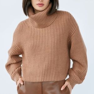 Aritzia Babaton Guell Turtleneck Sweater